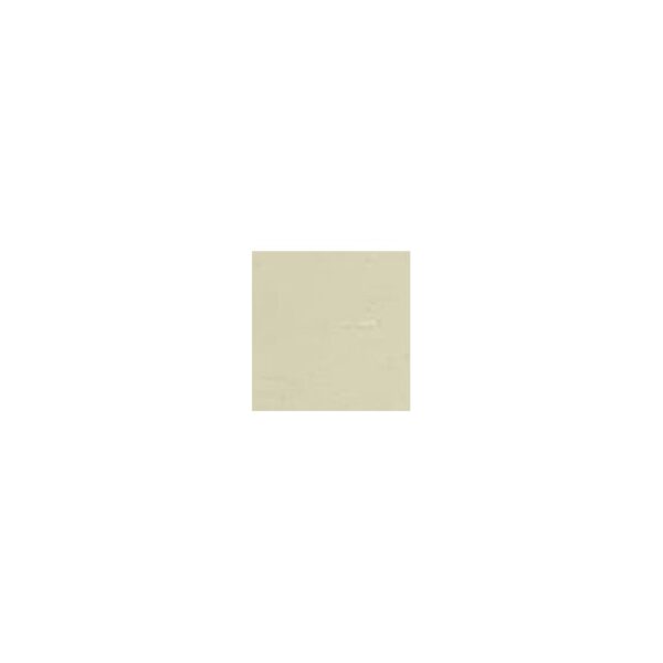 Crayon de retouche peinture AC090 BEIGE ERABLE 9ml