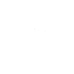 Crayon de retouche peinture AC093 BLANC CYGNE 9ml