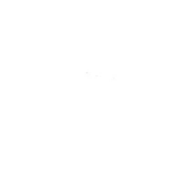 Crayon de retouche peinture AC093 BLANC CYGNE 9ml