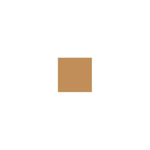 Crayon de retouche peinture AC309 BEIGE ANTILLAIS 9ml