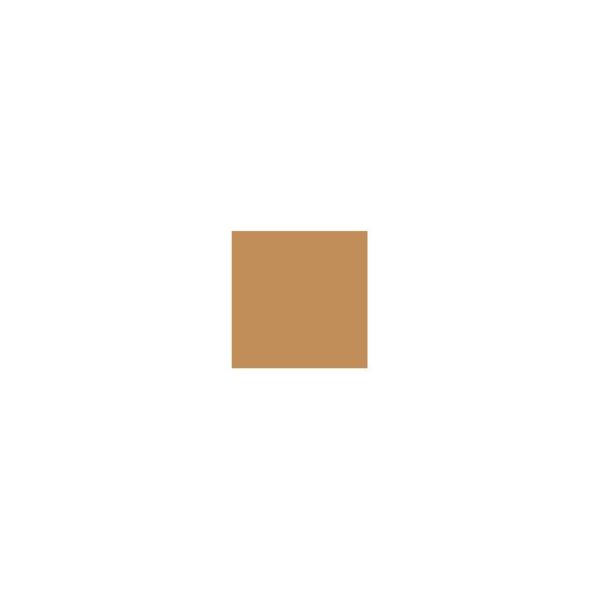 Crayon de retouche peinture AC309 BEIGE ANTILLAIS 9ml