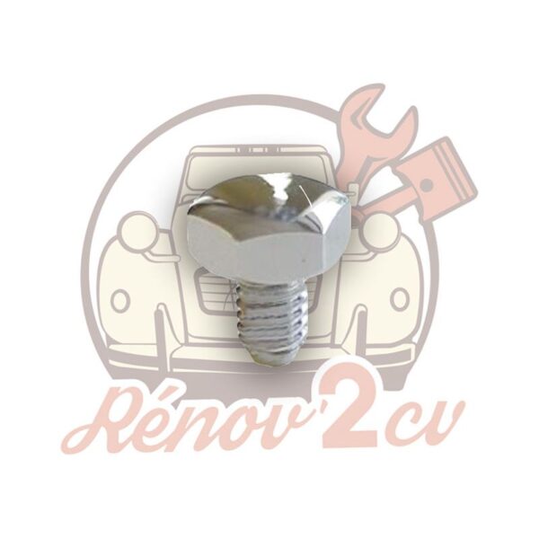 Vis enjoliveur de roue inox qualite superieure pour 2cv Méhari Dyane